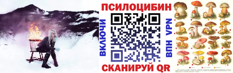 Псилоцибиновые грибы Psilocybe  ссылка на мегу ссылки  Грязовец 